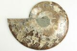 5.6" Cut & Polished Ammonite Fossil (Half) - Madagascar - #200081-1